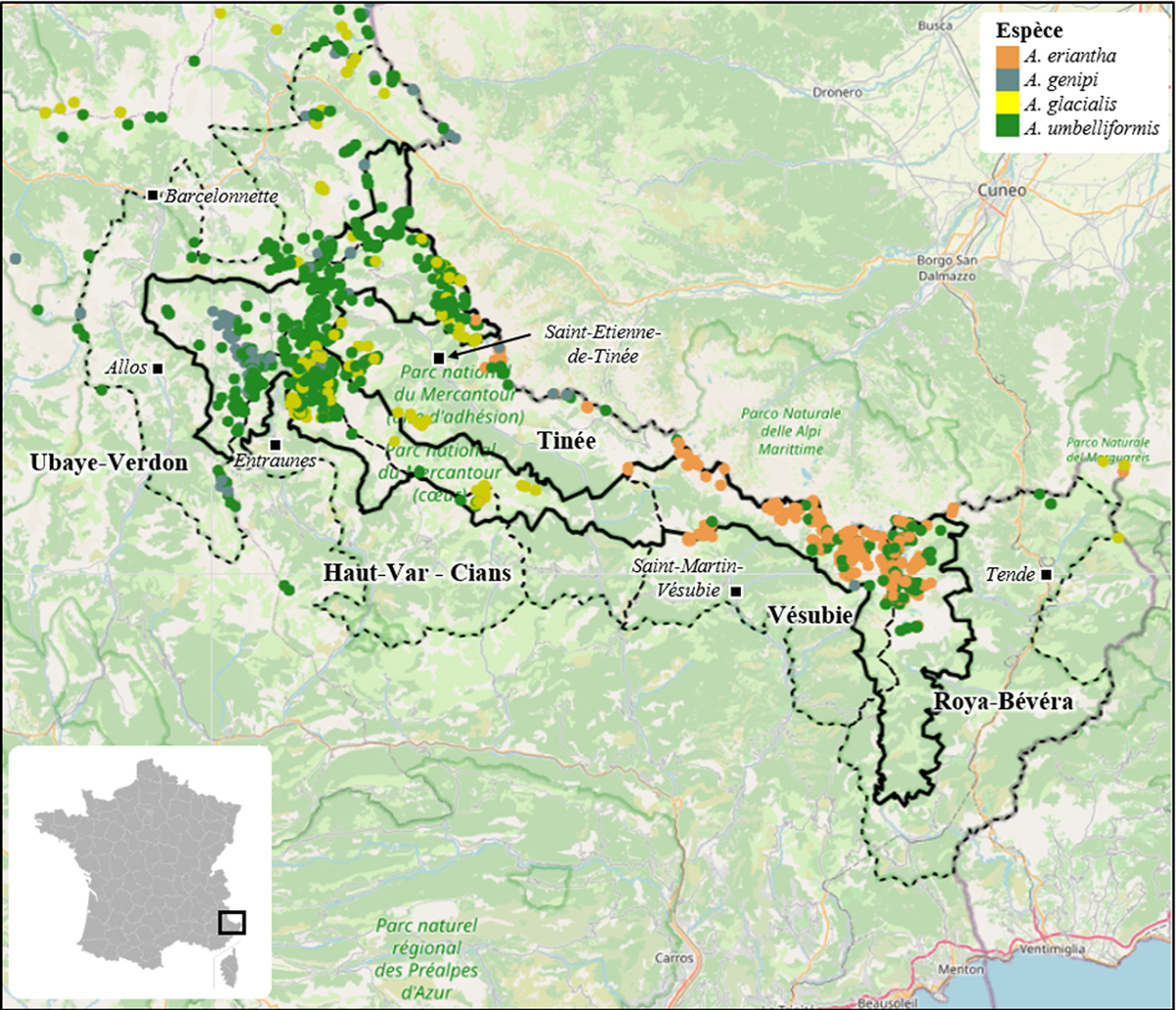 Fig. 2 Reportez-vous à la légende suivante et au texte qui l'entoure.